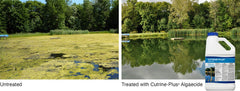 APPLIED BIOCHEMISTS Cutrine Plus spray application for targeted algae control in water features
