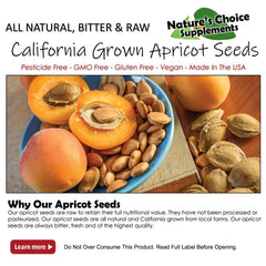 Raw bitter apricot kernels close-up emphasizing natural texture