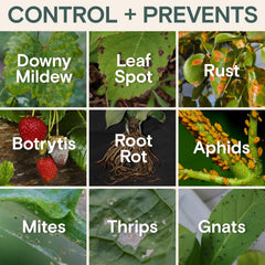 ARBER Organic Insecticide spray on leaves guards against common pests.