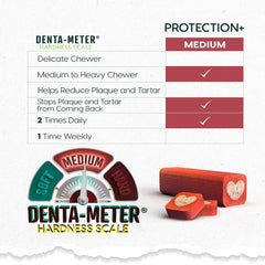 Formule 5-en-1 d’Ark Naturals Protection Plus soutenant gencives et haleine.