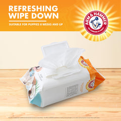 Arm & Hammer Dog Grooming Wipes travel kit keeps hands and dog clean.