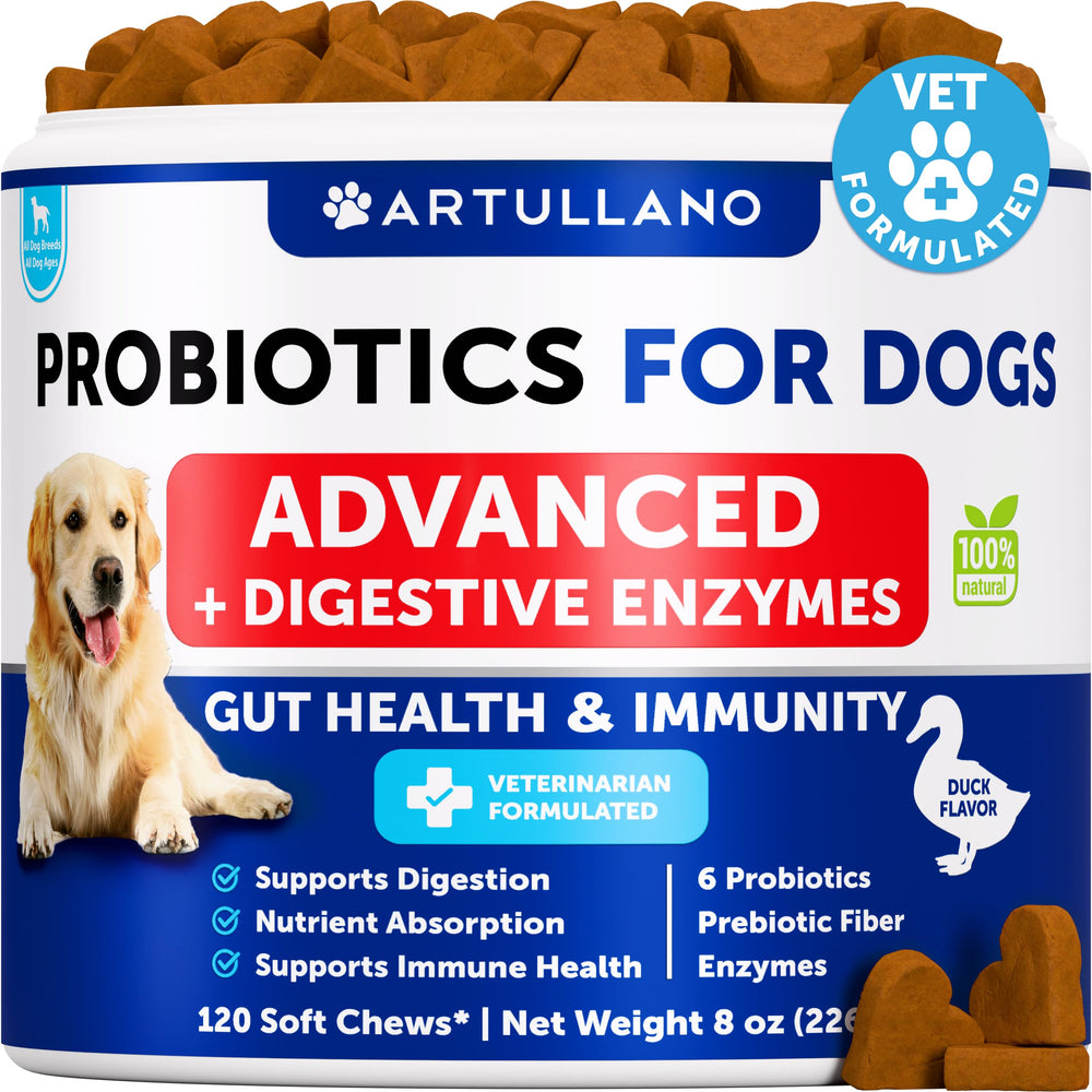 Artullano Probiotics for Dogs with duck flavored soft chews in pack, promoting gut balance.