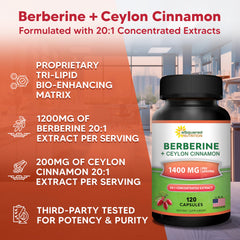 asquared Nutrition Berberine Cinnamon packaging box highlights vegan formula