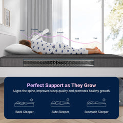 Avenco Bonnell spring structure provides stable support
