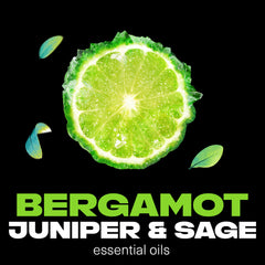 AXE Aqua Bergamot deodorant mist showing essential oils infusion