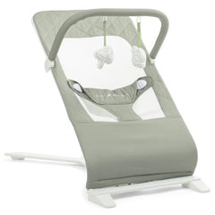 Baby Delight Alpine Deluxe Bouncer folded for travel, portable and compact.