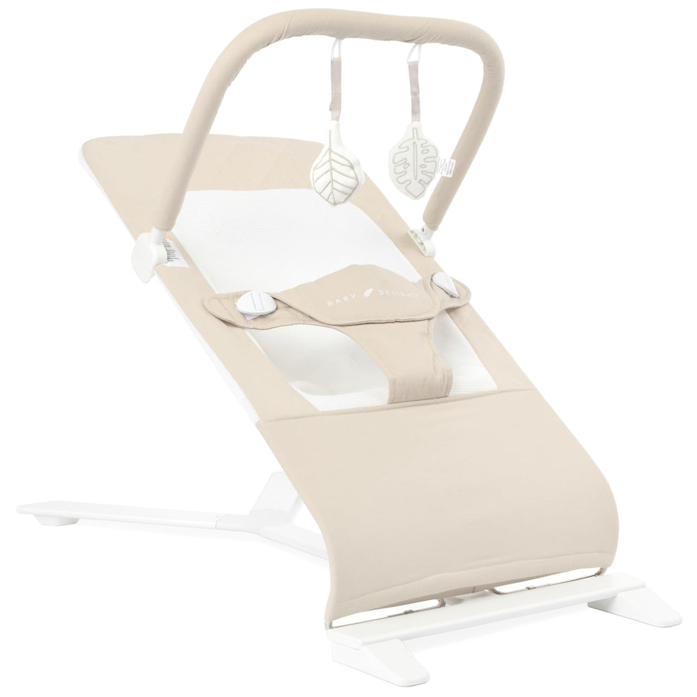 Baby Delight Alpine Deluxe Bouncer folded flat for travel and storage.
