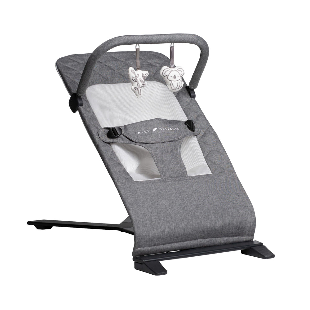Baby Delight Alpine Deluxe Bouncer in use with comfy support for playtime