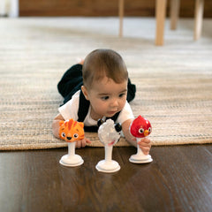 Baby Einstein suction cup high-chair toy sticks to a table for stable play.