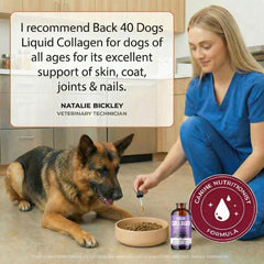 Back 40 Dogs joints and mobility boost from collagen drops