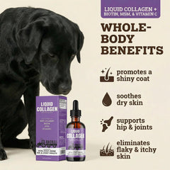 Back 40 Dogs bottle label shows premium ingredients for skin health