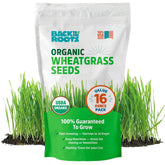 Back to the Roots wheatgrass seeds bag—organic and easy to grow for fresh greens.