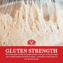 Bakers Club Vital Wheat Gluten mixed into whole-wheat dough for stronger rise