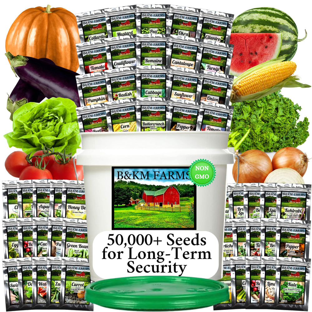 B&KM Farms Survival Seed Vault with bucket view for long-term seed storage and year-round gardening.