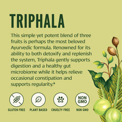 Banyan Botanicals Triphala powder on a spoon ready to mix