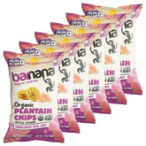 Barnana Organic Plantain Chips with Himalayan Pink Salt provide a savory crunch.