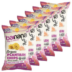 Barnana Organic Plantain Chips with Himalayan Pink Salt provide a savory crunch.