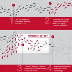 Non-repellent formula enables termite colony transfer for broader control.