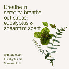 Bath & Body Works Eucalyptus Spearmint bath scene conveys relaxing ambiance.