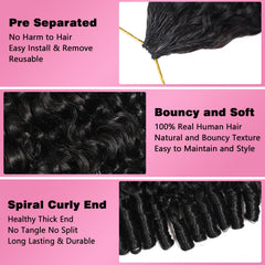 Beauty Queen Burmese Curly Crochet 16in knotless design minimizes tension during wear