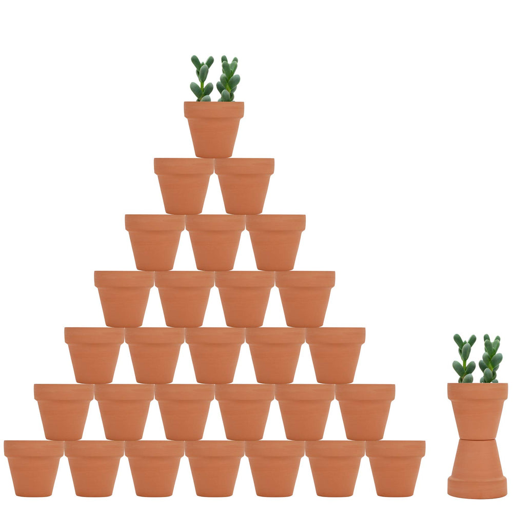 Becory 32pcs mini terracotta pot with 2in opening for neat succulent displays