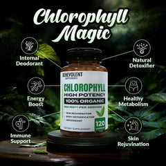 Close-up of Benevolent Nourishment chlorophyll bottle label showing purity and quality