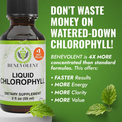 Benevolent Nourishment chlorophyll drops pour over glass, showcasing mint taste for on-the-go wellness.