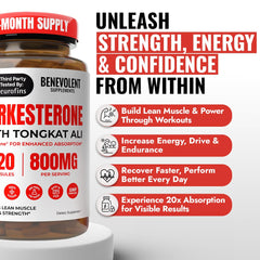 Benevolent Nourishment Turkesterone capsules ready for daily use in workouts