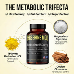Berberine Mojo tablets close-up highlighting the high-potency 1500mg dose.