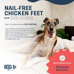Big Lu chicken feet detail emphasizing high-protein, single-ingredient nutrition