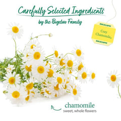Bigelow Cozy Chamomile foil packets preserve freshness and aroma.