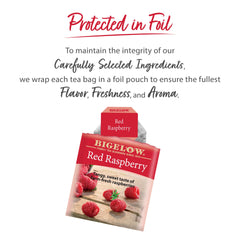 Bigelow Red Raspberry box showing 120 tea bags in a six-pack
