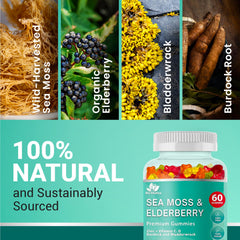 BIO VITALICA elderberry gummies with sea moss closeup on vibrant fruit flavor