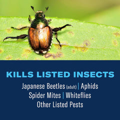 BioAdvanced All-in-One spray application simplifies garden pest control on roses.