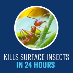 BioAdvanced complete insect killer outdoor ant killer targets carpenter ants and other outdoor pests.
