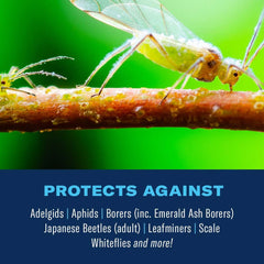 BioAdvanced insect-killer and slow-release fertilizer action shown for healthy roots and foliage