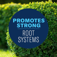 Close-up showing pest protection with BioAdvanced Shrub Care systemic formula.