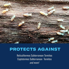 Perimeter coverage with BioAdvanced granules to support outdoor termite defense.