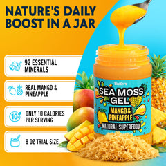 Biolore Sea Moss Gel Mango-Pineapple topping for salads.