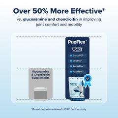 BioPup PupFlex+ chews, a tasty joint supplement for dogs.