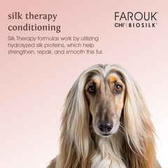 BioSilk for Dogs soft coat nourished by silk proteins.