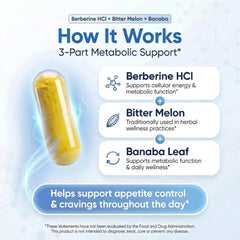 Biotech Labs Bitter melon leaf closeup emphasizes botanical blend for wellness.