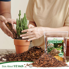 Biotolot orchid bark texture highlighting natural, impurity-free material for healthy roots