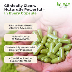 B’LEAF NATURE moringa capsules pour, convenient daily capsules for plant-based nutrition.