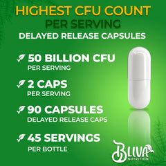 Closeup of Bliva Nutrition L Reuteri capsules showing high potency formulation