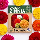 Bloomtiva Dahlia Zinnia seeds bulk with mixed colors for vibrant garden borders