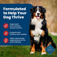 Blue Buffalo Life Protection no-corn-wheat-soy supports allergen-friendly nutrition