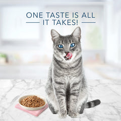 Blue Buffalo Tastefuls 24-pack cans pack shows convenient wet meals for busy households.