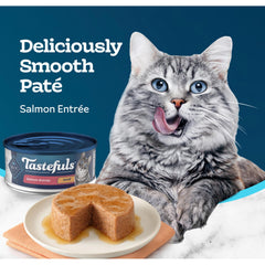 Blue Buffalo Tastefuls Salmon Pate packaging display confirms 24-count case.