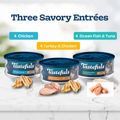 Blue Buffalo Tastefuls variety pack front showcasing three flavors in one convenient set.